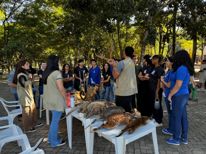 Programação da Semana do Meio Ambiente segue hoje e amanhã com foco na preservação e sustentabilidade