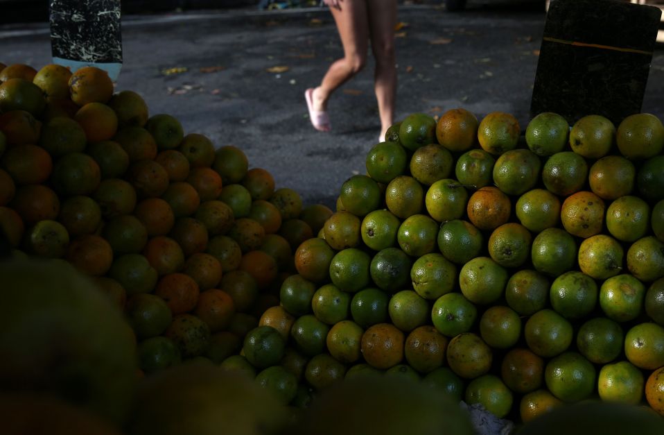 Fundecitrus reduz mais a safra de laranja de SP e MG; preço do suco tem recorde