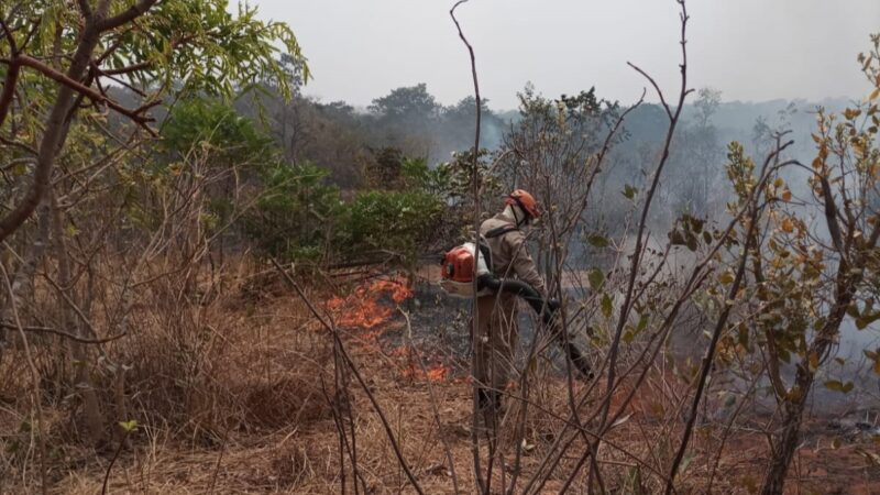 Corpo de Bombeiros de MT extingue incêndio em propriedade rural de Campo Verde