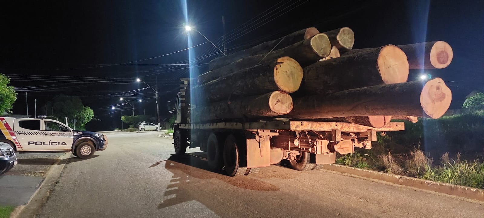 Polícia Militar prende homem por extração ilegal de madeira em Nova Monte Verde