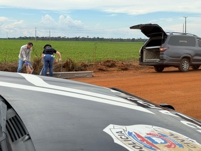 Sinop: Corpo de jovem é encontrado dentro de valeta em estrada rural